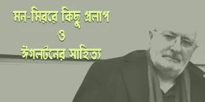 মন-মিররে কিছু প্রলাপ ও ঈগলটনের সাহিত্য : সন্তর্পণ ভৌমিক